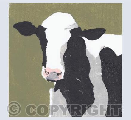 Friesian Cow