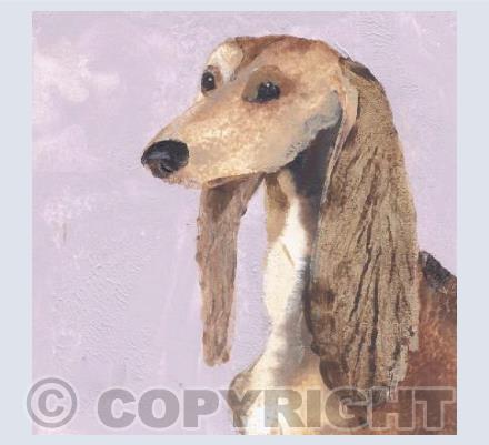 Dog - Lady