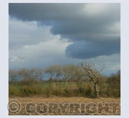 Spring Storm