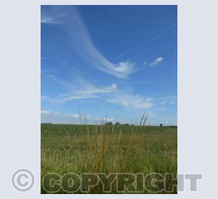 Windswept Cloud