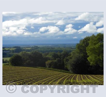 View over Otmoor 2