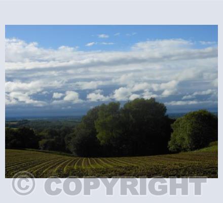 View over Otmoor 3