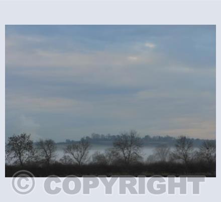 Mist in the Morning