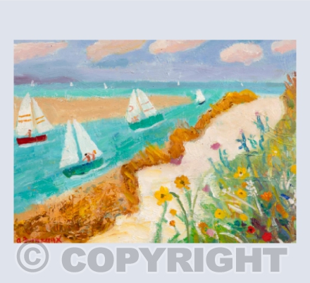 Sandy Walk On Hayle Towens