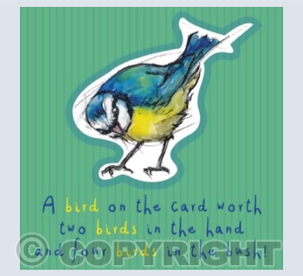 A bird on the card
