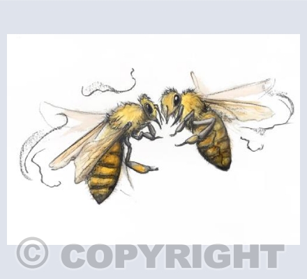 Bzzzz!