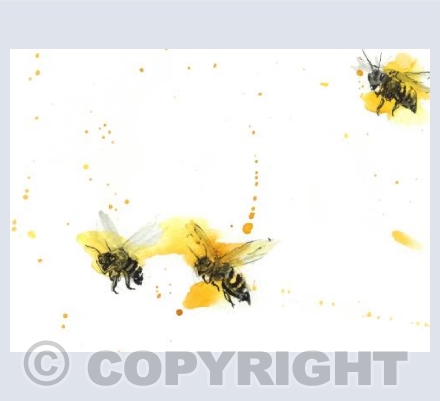 To the beehive!