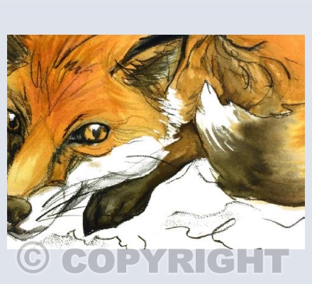 Playful Fox
