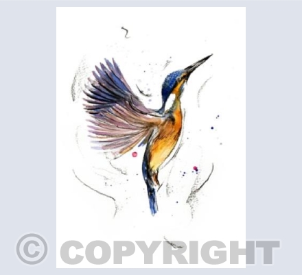 Kingfisher