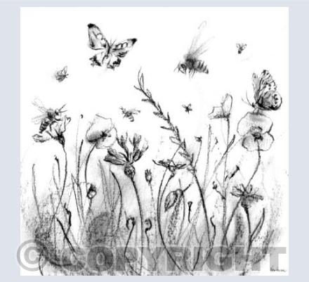Spring meadow