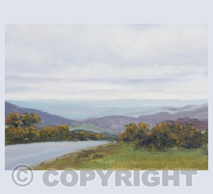dartmoor view