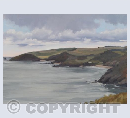 Sharkham Point