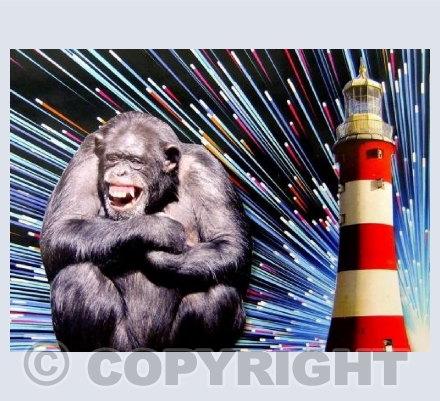 SMEATON'S CHIMP