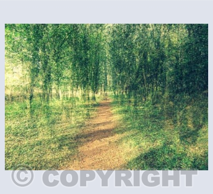 WOOLWELL TRACKWAY 2