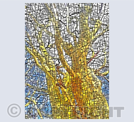 WOOLWELL TREES