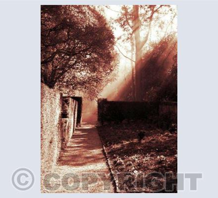 Cotehele Smoke