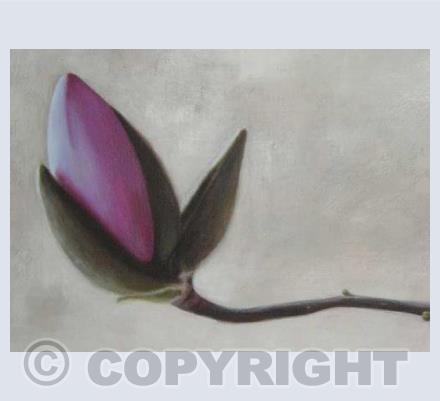 Magnolia Bud