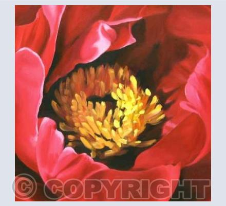 Peony 2