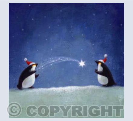 Christmas Starlight 1