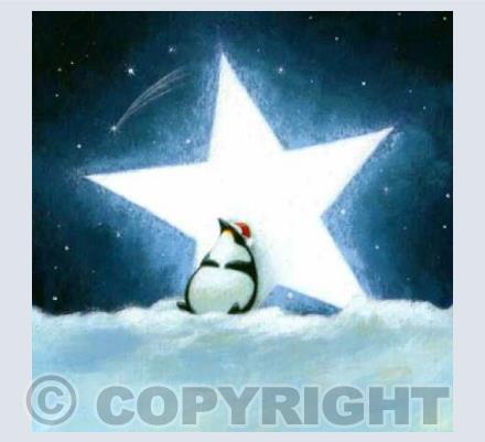 Christmas Starlight 2