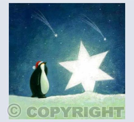Christmas Starlight 3