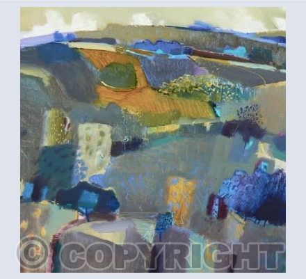 Evening Fields