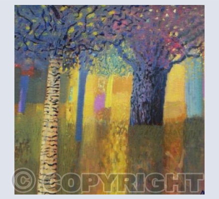 Henrietta Park Evening