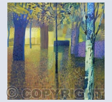 Silver Birch