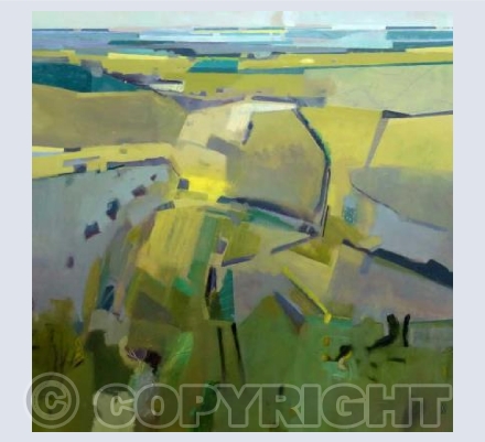 Exmoor Late May 