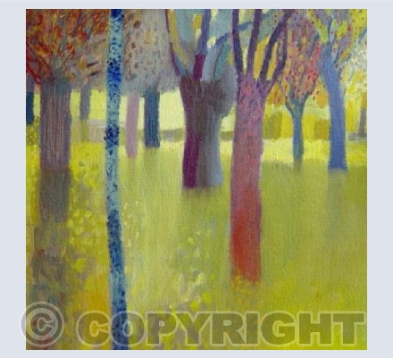 Summer Park