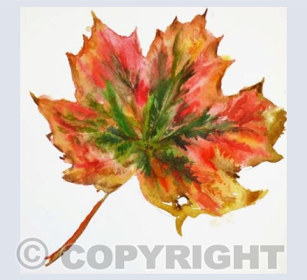 Autumn Leaf
