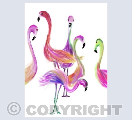 Dance of the Flamingos