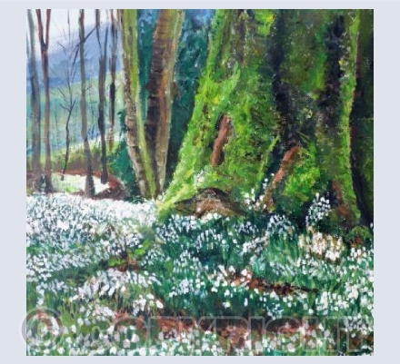 Snowdrop Walk