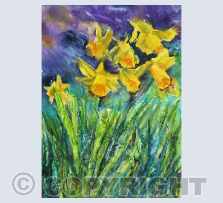 Daffodils