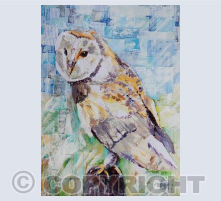 Barn Owl