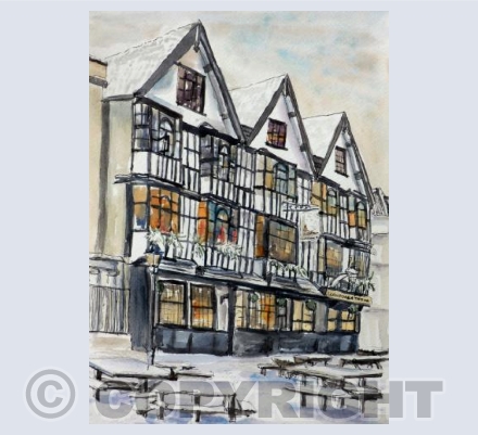 Bristol - Landoger Trow in Snow