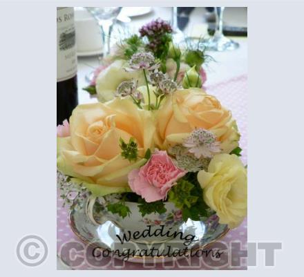 Wedding congratulations