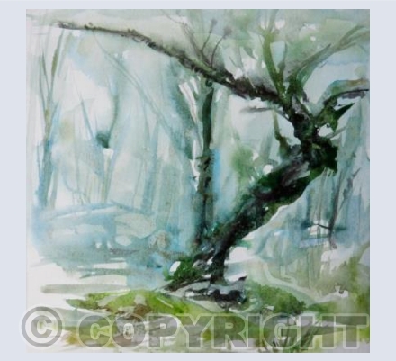 Misty Trees
