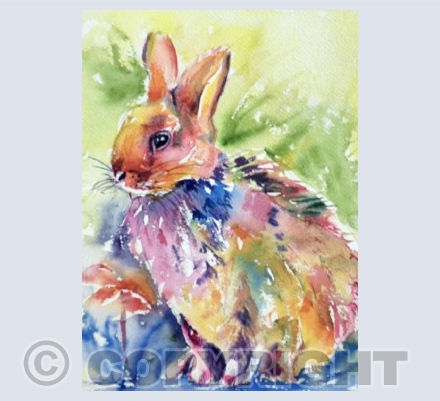 Bunny