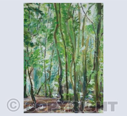 Bristol - ~Nightingale Valley