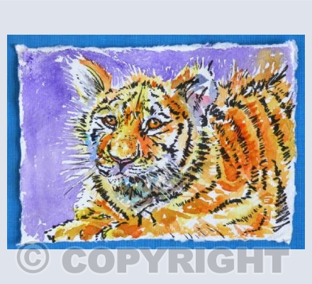 Tiger Cub