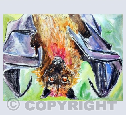 Fruit bat