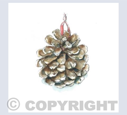 Pine Cone