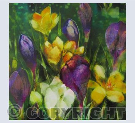 Crocus Patch