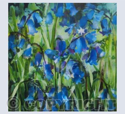 The Bluebell Wood