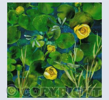 Brandy Bottle Water Lilies