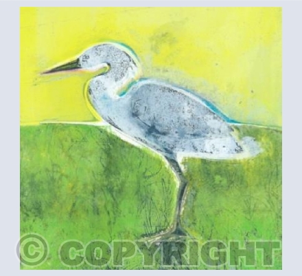 On the Marsh