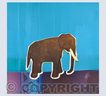 Blue Elephant