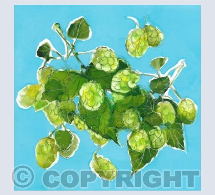 Hops