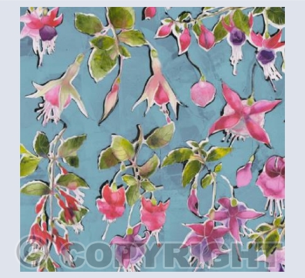 Ballerinas (fuchsias)